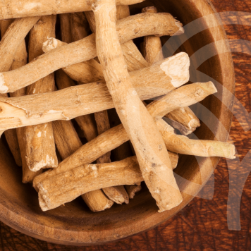 Ashwagandha NSP model NSP 23072 | Nr. imagine 1