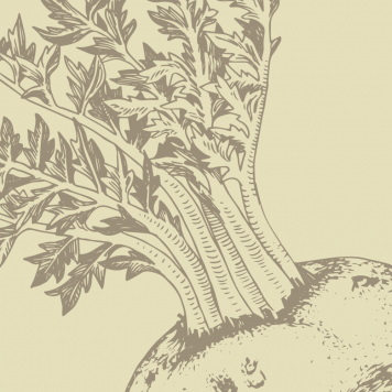 Boost NSP model NSP 1121 | Nr. imagine 1