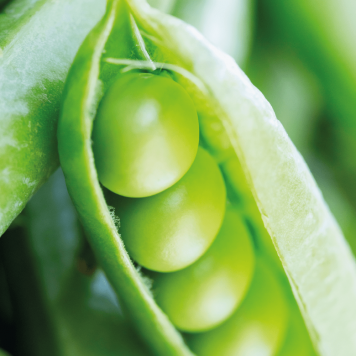 SmartMeal 2-pak model NSP 65010 | Nr. imagine 1