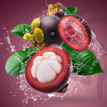 Zambroza NSP Zambroza NSP model NSP 4104 | Nr. imagine 2