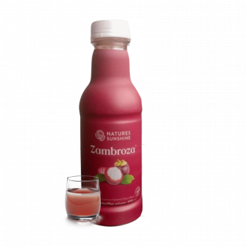 Zambroza NSP model NSP 4104 | Nr. imagine 1