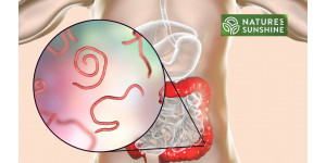 Cum să învingem paraziții și candidoza în mod sigur și natural: programul NSP