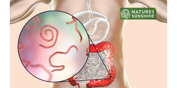 Cum să învingem paraziții și candidoza în mod sigur și natural: programul NSP