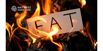 De ce are organismul nevoie de grăsime? Rolul țesutului adipos în apărarea toxicologică