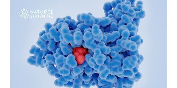 O abordare nutrițională a recuperării după cancer: cum să sprijiniți organismul cu NSP O abordare nutrițională a recuperării după cancer: cum să sprijiniți organismul cu NSP