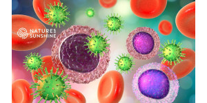 Cum să întăriți imunitatea în timpul verii: soluții naturale de la NSP Cum să întăriți imunitatea în timpul verii: soluții naturale de la NSP