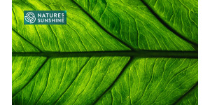 Produse inteligente pentru vene varicoase: experiența NSP