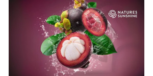 Scutul violet: cum Zambroza stimulează sănătatea vasculară și încetinește îmbătrânirea